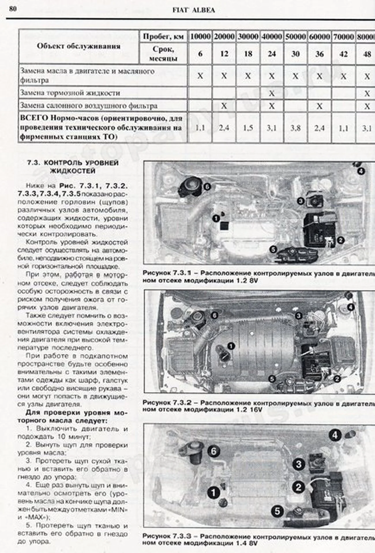 Книга: FIAT ALBEA (б , д) с 2005 г.в., PALIO  / SIENA (б , д) с 1998 г.в., рем., экспл., то | Чижовка