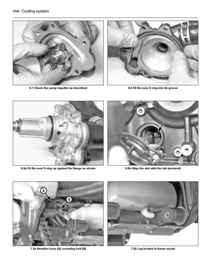 Книга: HONDA CB650F / CBR650F / CB650R / CBR650R 2014-2019 г.в., рем., экспл., то | Haynes